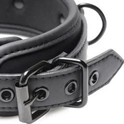 Master Series Leashes & Collars | Nipple Clamps & Stimulators><noscript><img width=
