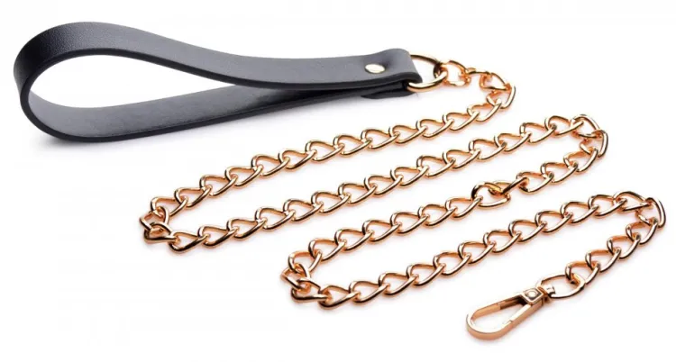 Master Series Sex Toy Kits & Collections | Leashes & Collars>Black and Gold Collar with Leash Kit