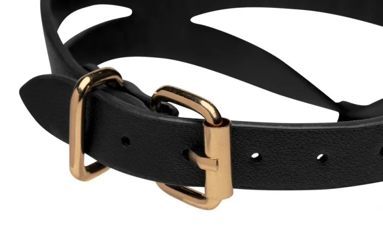 Master Series Sex Toy Kits & Collections | Leashes & Collars>Black and Gold Collar with Leash Kit
