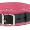 Strict Leather Leashes & Collars>Black and Pink Locking Collar
