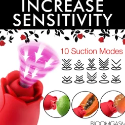 Bloomgasm Rabbit & Dual Stimulation Vibrators | Rechargeable Vibrators><noscript><img width=