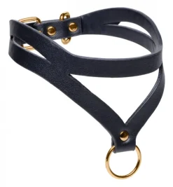 Master Series Leashes & Collars><noscript><img width=