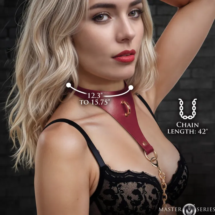 Master Series Leashes & Collars>Captivate Collar with Body Chain