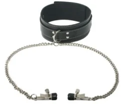 Strict Leather Leashes & Collars | Nipple Clamps & Stimulators>Coveted Collar with Nipple Clamp Attachment