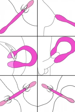 Inmi Vibrating Dildos | Non-Representational Dildos><noscript><img width=
