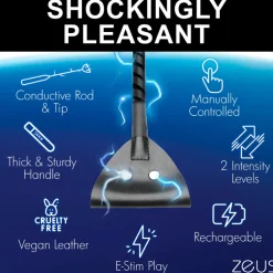 Zeus Electrosex Impact: Whips, Crops & Spankers><noscript><img width=