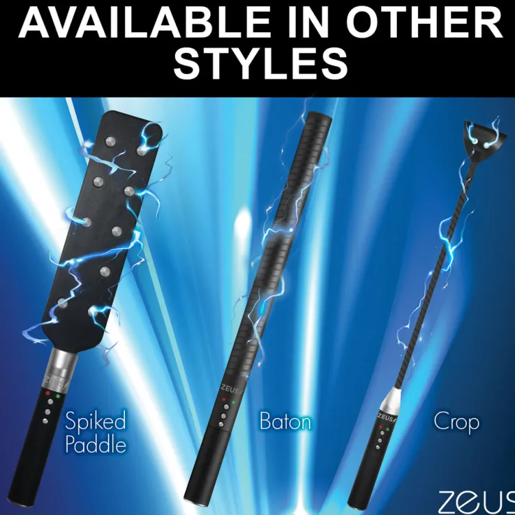 Zeus Electrosex Impact: Whips, Crops & Spankers>E-Stim Spiked Paddle