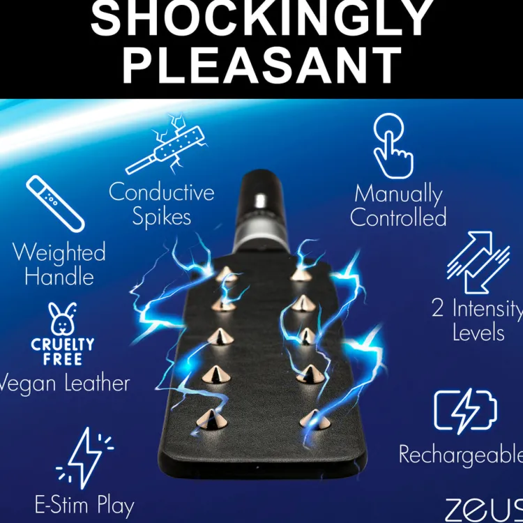 Zeus Electrosex Impact: Whips, Crops & Spankers>E-Stim Spiked Paddle