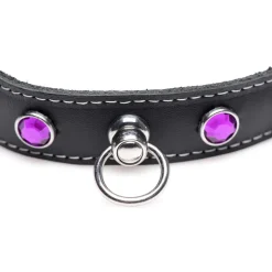 Master Series Leashes & Collars><noscript><img width=