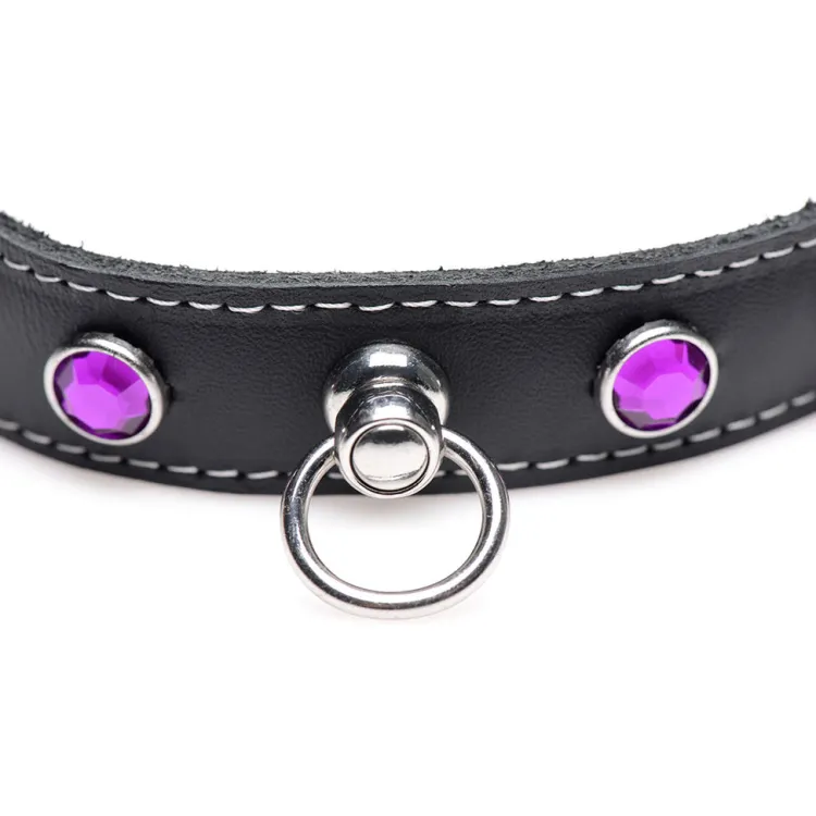 Master Series Leashes & Collars>Fierce Vixen Leather Choker with Rhinestones