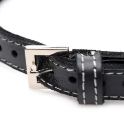Master Series Leashes & Collars><noscript><img width=