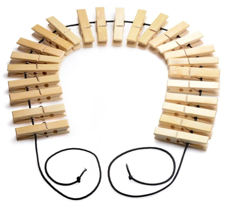 Master Series Impact: Whips, Crops & Spankers>Firecracker Clothespin Body Zipper