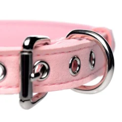 Master Series Leashes & Collars><noscript><img width=