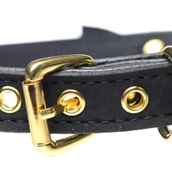 Master Series Leashes & Collars><noscript><img width=