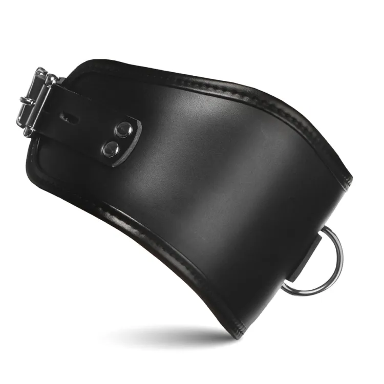 Master Series Leashes & Collars>Hard Stance Padded Locking Posture Collar
