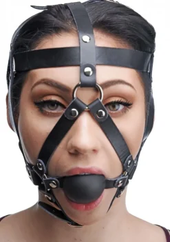 Master Series Ball Gags & Mouth Restraints | Masks & Dress-Up Accessories>Head Harness with Ball Gag