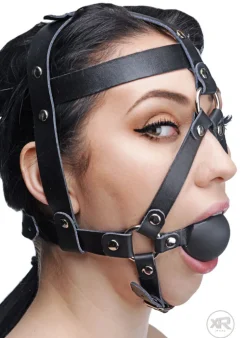 Master Series Ball Gags & Mouth Restraints | Masks & Dress-Up Accessories>Head Harness with Ball Gag