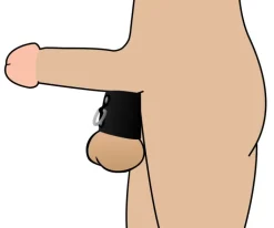 STRICT Cock & Ball Devices><noscript><img width=