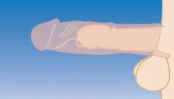 Size Matters Penis Extenders & Sleeves>2 Inch Silicone Penis Extension