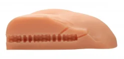 Jesse Jane Ultra Realistic Sex Toys | Pocket Pussy & Porn Star Masturbators><noscript><img width=