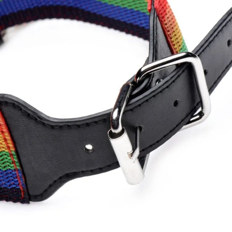 Master Series Sex Toy Kits & Collections | Leashes & Collars>Kinky Pride Rainbow Bondage Set