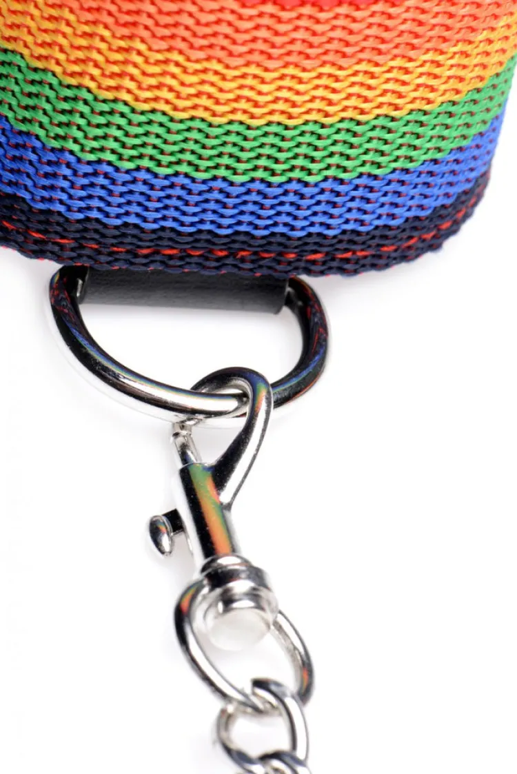 Master Series Sex Toy Kits & Collections | Leashes & Collars>Kinky Pride Rainbow Bondage Set