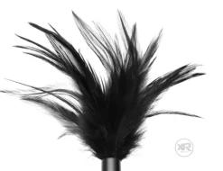 Greygasms Sensation Play, Tools & Accessories | Impact: Whips, Crops & Spankers>Le Plume Feather Tickler - Black
