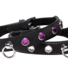 Strict Leather Leashes & Collars>Leather Rhinestone Collar