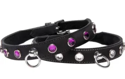 Strict Leather Leashes & Collars>Leather Rhinestone Collar