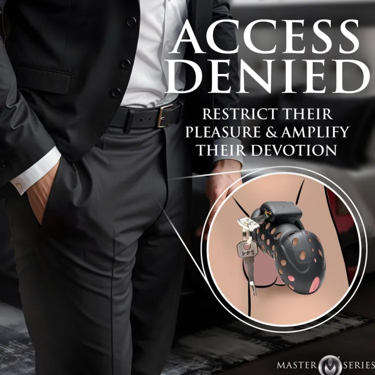 Master Series Chastity Devices>Lock Down Chastity Cage