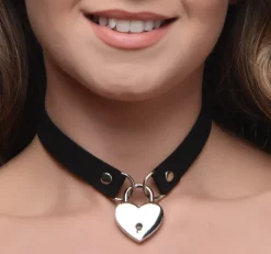 Master Series Ball Gags & Mouth Restraints | Masks & Dress-Up Accessories>Lock-It Heart Choker