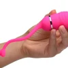 Frisky Bullet & Egg Vibrators | App Controlled & Remote Vibrators>Luv Pop Rechargeable Remote Control Silicone Vibe