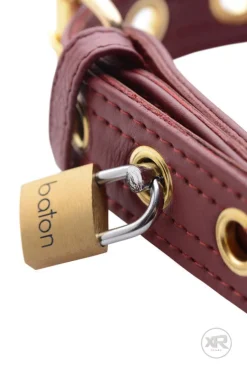 Strict Leather Leashes & Collars>Luxury Burgundy Collar