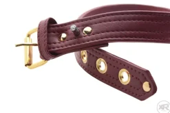 Strict Leather Leashes & Collars><noscript><img width=
