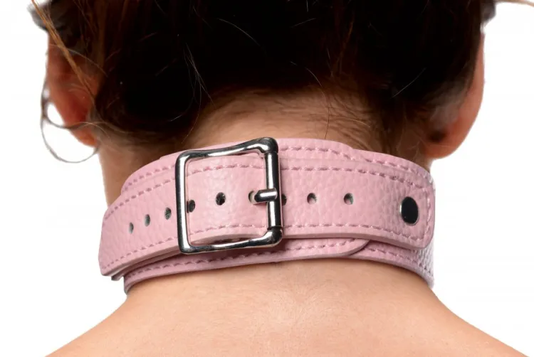Frisky Vibrating Panties & Lingerie | Masks & Dress-Up Accessories>Miss Behaved Pink Chest Harness