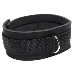 Frisky Leashes & Collars><noscript><img width=