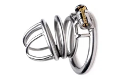Master Series Chastity Devices | Penis Rings>Pen Deluxe Stainless Steel Locking Chastity Cage