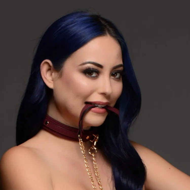 Master Series Leashes & Collars | Wrist & Ankle Cuffs>6 Piece Velvet Bondage Set