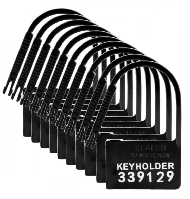 Master Series Chastity Devices>10pk Keyholder Plastic Chastity Locks