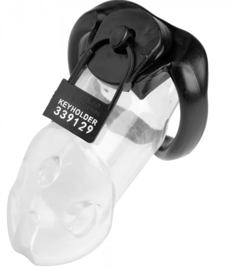 Master Series Chastity Devices>10pk Keyholder Plastic Chastity Locks