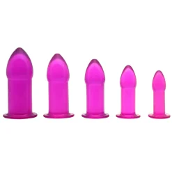 Trinity Vibes Anal Starter Toys | Butt Plugs>Purple Anal Dilator Kit