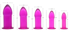 Trinity Vibes Anal Starter Toys | Butt Plugs>Purple Anal Dilator Kit