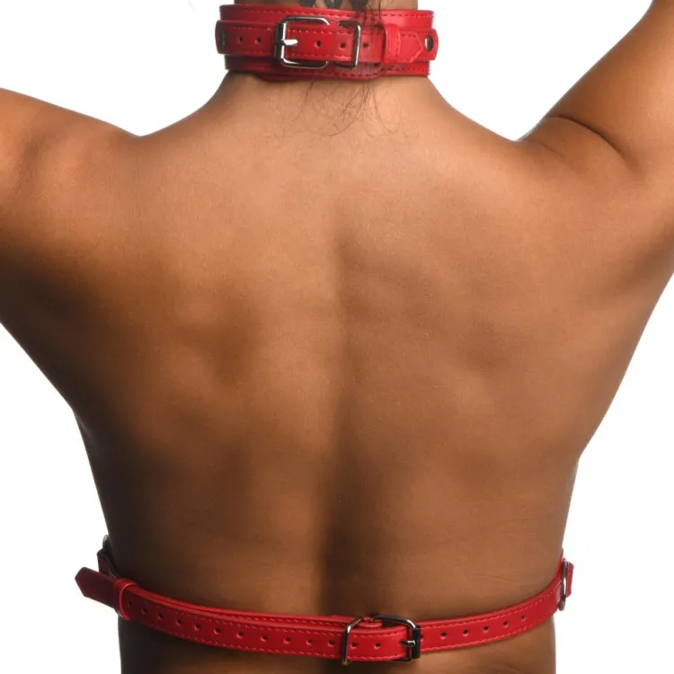 STRICT Vibrating Panties & Lingerie | Masks & Dress-Up Accessories>Red Female Chest Harness