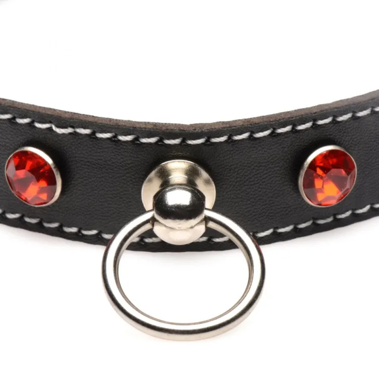 STRICT Leashes & Collars>Rhinestone Choker with O-Ring
