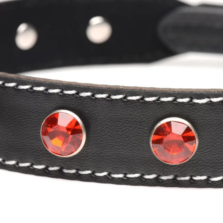 STRICT Leashes & Collars>Rhinestone Choker with O-Ring