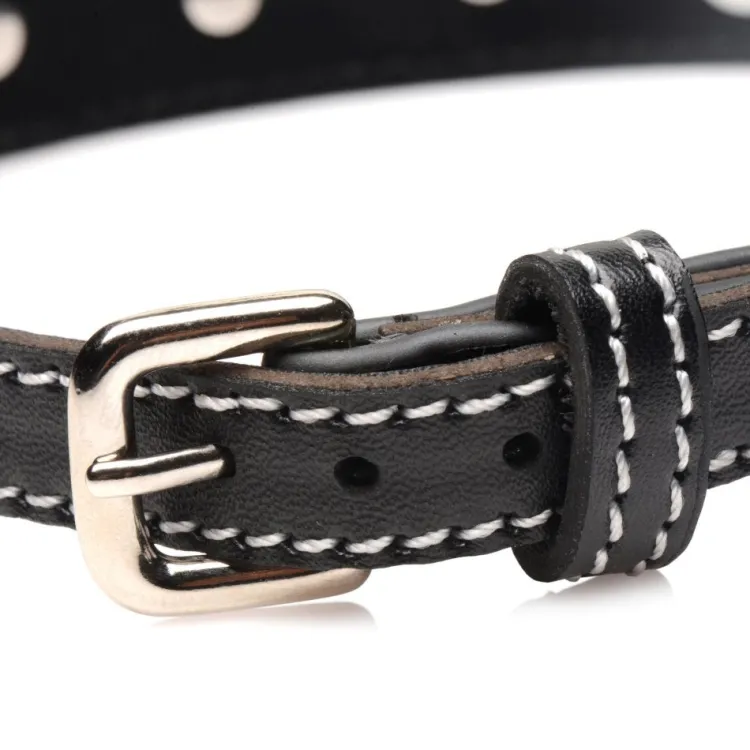 STRICT Leashes & Collars>Rhinestone Choker with O-Ring