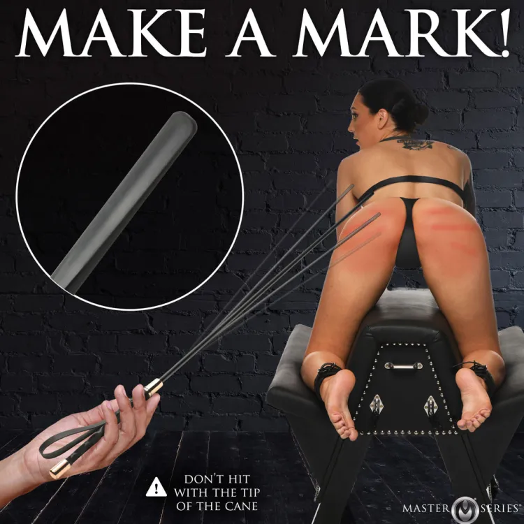 Master Series Impact: Whips, Crops & Spankers>Sinful Impact Cane