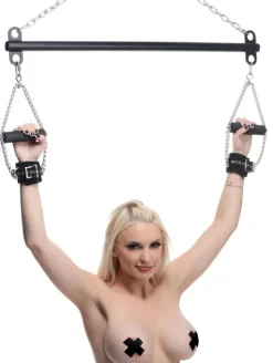 Master Series Luxury Toys | Sex Furniture, Swings, & More>Steel Suspension Bar