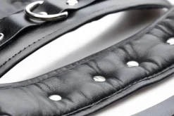 Master Series Wrist & Ankle Cuffs><noscript><img width=