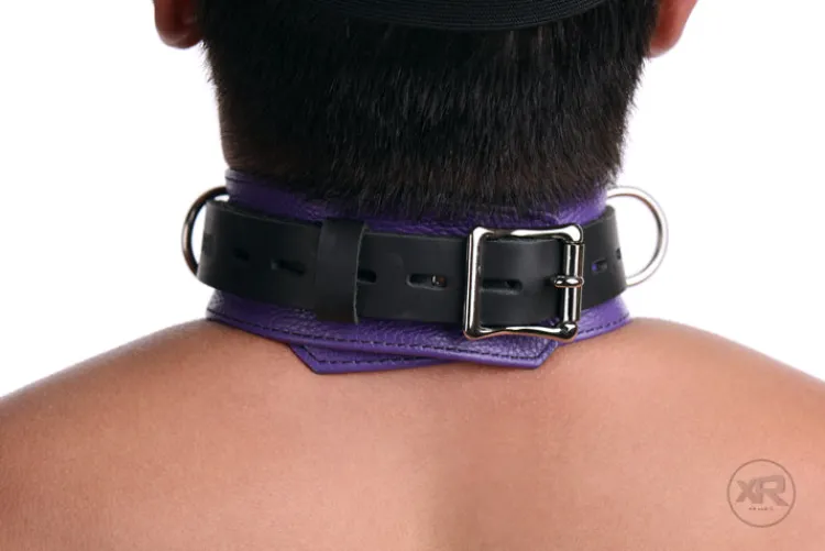 Strict Leather Ball Gags & Mouth Restraints | Masks & Dress-Up Accessories>Black and Purple Blindfold